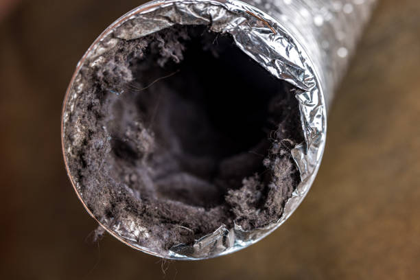Best Home Air Vent Cleaning  in Fairland, MD